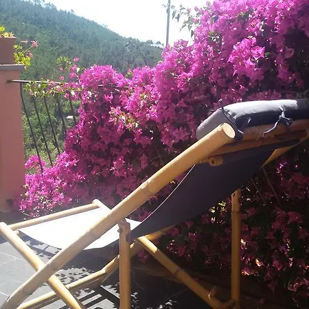 Rosita Apartment Bonassola