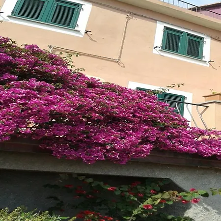 Rosita Apartment Bonassola